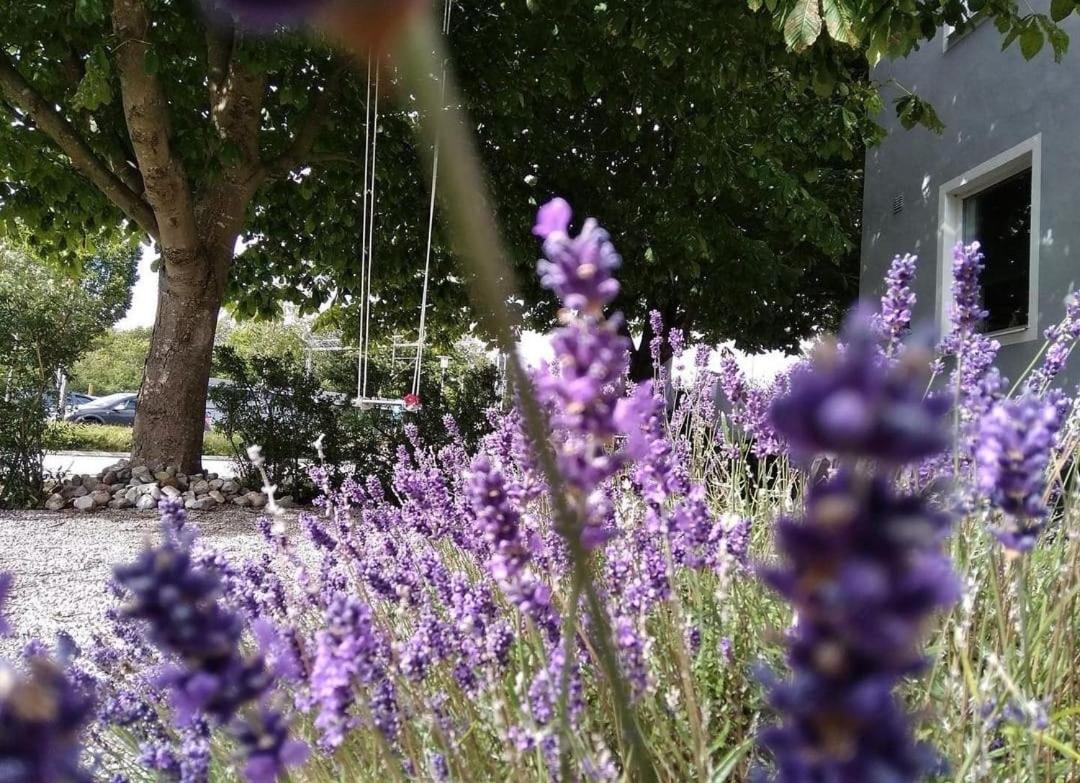 Cosyplace; Close To Beach, Nature, Train, Grocery Kopingebro ภายนอก รูปภาพ